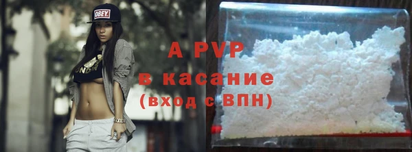 прущие крисы Горняк
