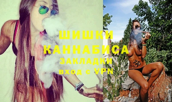 прущие крисы Горняк
